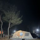 강동로7-31 | [캠핑후기⛺️⛺️] 2024년도 영주호 오토캠핑장 결산