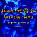 많은물소리공연장 | 오키나와 감성코스 4탄! &#39;츄라우미 수족관&#39; 돌고래 쇼도! 낚시 좋아하는 사람에게는 최고!!