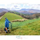 행진목장 이미지