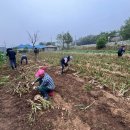 삼태산마을 이미지