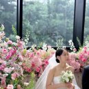 라비에벨 이미지