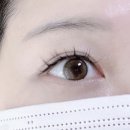 세븐일레븐 광주첨단대라수점 | 광주 첨단 속눈썹연장 마소카라 이물감없이 가벼운 데일리 속눈썹 후기