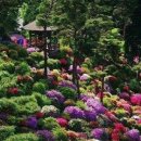 하늘을 향하여 이미지