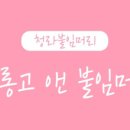 살롱고앤붙임머리