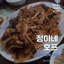 정아네호프 이미지