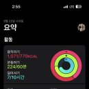 루프트맨션 이미지