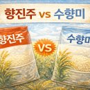 (주)마트퀸 이미지