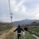 평사리의 그집 이미지