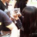 아띠모리 이미지