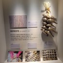 (기획전시)-국립민속박물관 - 조명치 해양문화특별전