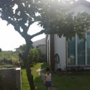 웅이민박 이미지