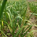 사남매농장 이미지