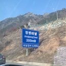 언제까지 이렇게 먹고 마시고 노는게 즐거울 일이지