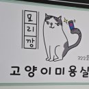 묘리깡 이미지