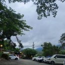 밤나무집 민박 이미지