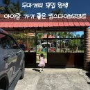 4살 아이와 단둘이 두마게티 스쿠버다이빙 킴스다이브리조트 항구 픽업부터 리조트까지