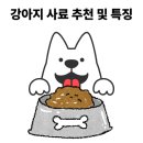 GOLD HILL | 2025년 반려견 사료 추천 가이드: 우리 아이에게 딱 맞는 사료 찾기 🐶🍽️