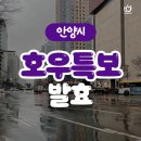 안양중앙초등학교 이미지