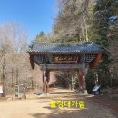 대가람주 티스토리
