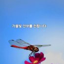 수수께끼 이미지