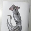 아잉교