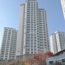운정최고공인중개사사무소 이미지