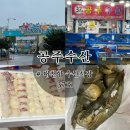 대천항수산물시장 | [보령 공주수산] 대천항 수산물시장 &#39;37호&#39; / 대천 현지인이 방문해 신선한 활어 포장한 후기