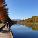 운동화박사 이미지