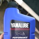 행정용 4 이미지