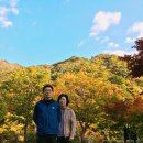 달궁자동차야영장 이미지