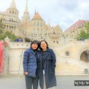 거북이 차과자 이미지