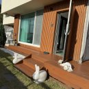 티마루풀빌라스테이 이미지