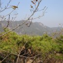 청성초교 이미지