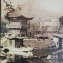 향원조경