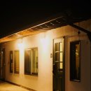 스테이치목 이미지