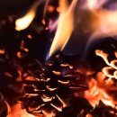 솔방울 펜션 이미지