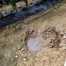 덕암1길 이미지