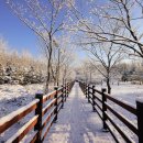 품안작은도서관 이미지