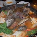 섬문어전복 이미지