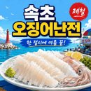 영랑호 동측 공중화장실 | 한 접시에 여름 끝났어요ㅣ속초 오징어난전 2026 개장시기·시세·무료주차·명당·주문꿀팁·영금정...