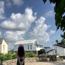 제주 안더면 숙소[오마이코티지]후기 내돈내산 ^.^