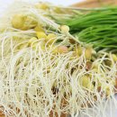 문숙농장 이미지