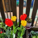 삼덕유치원 이미지