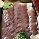 위드댕댕 이미지