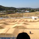 강화경기장 BMX경기장 이미지