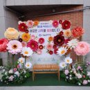 금낭화유치원 이미지