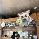 엑스포로1(북) | 경주 실내가볼만한곳 비 오는 날 아이랑 다녀온 주렁주렁 후기