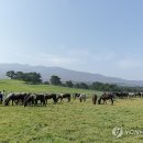 국립축산과학원 난지축산연구소 이미지