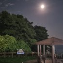 자구리해안 이미지