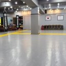 청담경일태권도 이미지